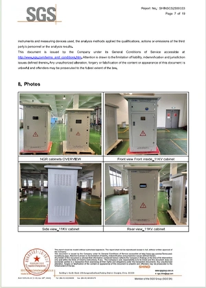 Fourniture d'armoires de résistances de mise à la terre haute tension (5,5 kV et 11 kV) pour un client en Algérie.
